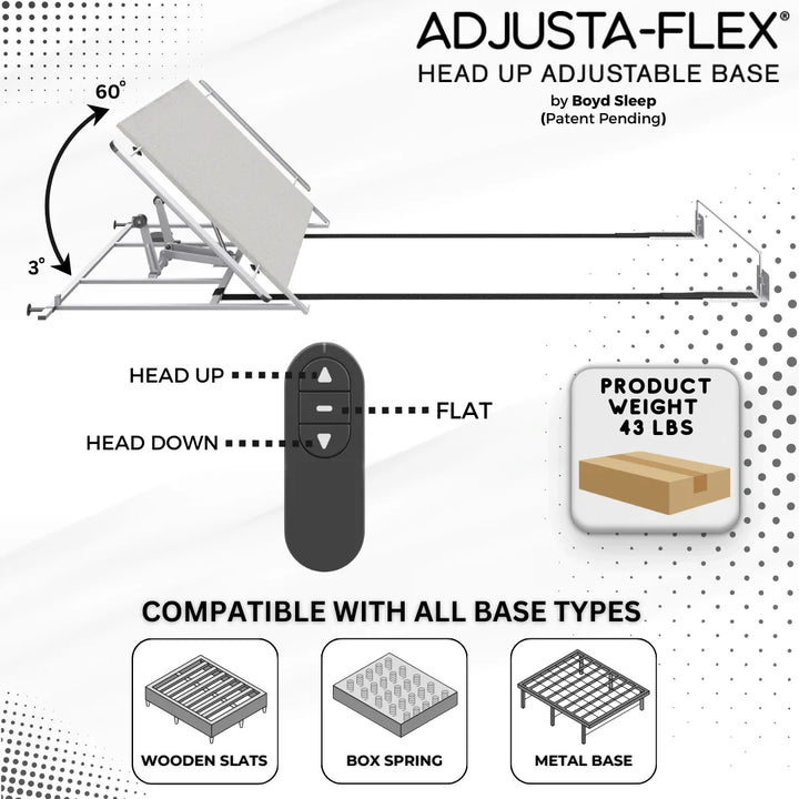 Adjusta-Flex 100 Queen Size Power Adjustable Head Lift Base with Wireless Remote, Bed Recliner with Anti-Snore, 10 Minute Assembly