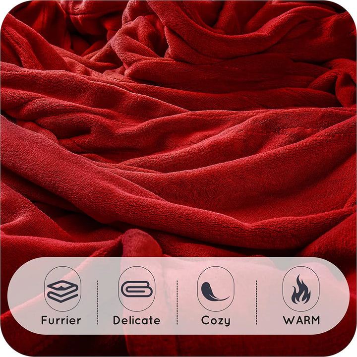 Heated Blanket 62X84'' Twin Size with 4 Heating Levels 10 Hours Auto-Off for Home Bedding Couch- Cherry Red